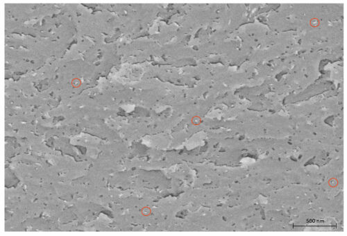 REM-Bild von Harzsystem mit 10 Gewichtsprozent Nanopartikel. 14 nm große Primärpartikel (siehe Markierungen), homogen verteilt.