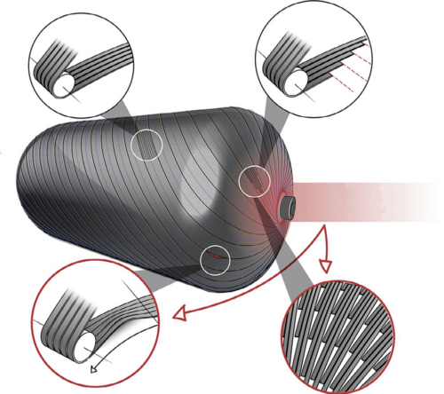 Belegungsbild einer LH2-Tankstruktur im AFP-Verfahren